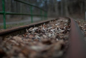 _JUB0015-web.jpg _JUB0015-web.jpg