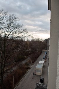 In Baumwipfel gemessen.jpg