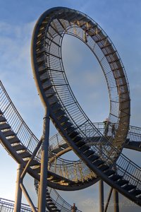 Tiger and Turtle.jpg