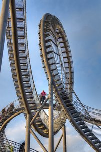 Tiger and Turtle-3.jpg