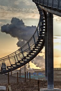 Tiger and Turtle-4.jpg