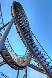 Tiger and Turtle-5.jpg