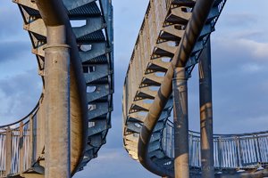Tiger and Turtle-6.jpg