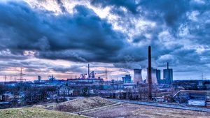 Tiger and Turtle-9.jpg