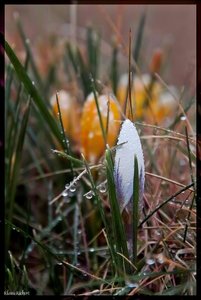 sample 40.jpg sample 40.jpg