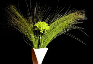 Kopie von DSC_4308_01.JPG