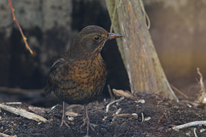 1200-DSC_4416.jpg 1200-DSC_4416.jpg