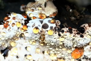 img_0473_kopie_passig_gemacht.jpg img_0473_kopie_passig_gemacht.jpg