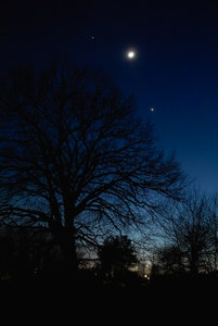 2012_02_26_SD9_ISO100_11sec_Buelzig_Mond_Venus_Jupiter_Flektogon20mm_JPGooSPP25_manuell.jpg