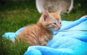 2010_07'01 - 19'24'41_changed.jpg