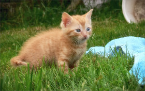 2010_07'01 - 19'24'16_changed.jpg