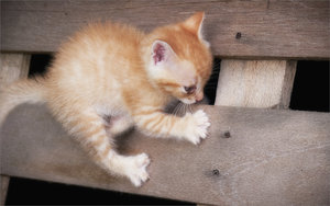 2010_07'01 - 19'27'12_changed.jpg