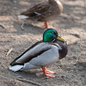 1shot1moment@bilderforum (1 von 4).jpg