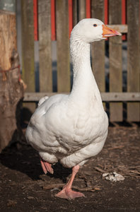 1shot1moment@bilderforum (2 von 4).jpg