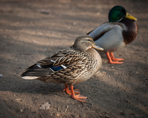 1shot1moment@bilderforum (3 von 4).jpg