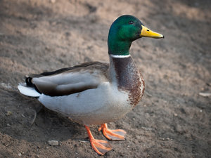 1shot1moment@bilderforum (4 von 4).jpg