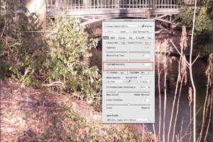 RAW-Developer ohne Highligt-Recovery.jpg