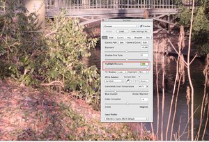 RAW-Developer mit Highligt-Recovery.jpg