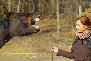 2012_03_04_SD9_Pferd_Hauttoene_0004_JPGooSPP25.jpg 2012_03_04_SD9_Pferd_Hauttoene_0004_JPGooSPP25.jpg