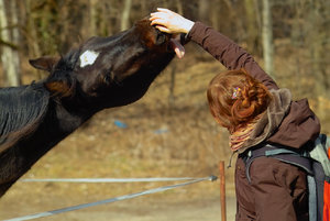 2012_03_04_SD9_Chorin_Pferd_0005_JPGooSPP25.jpg 2012_03_04_SD9_Chorin_Pferd_0005_JPGooSPP25.jpg