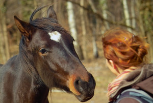 2012_03_04_SD9_Chorin_Pferd_0006_JPGooSPP25.jpg 2012_03_04_SD9_Chorin_Pferd_0006_JPGooSPP25.jpg