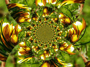 Kopie von P3102620.JPG