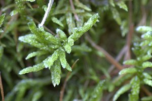 IMG_0179 (Kopie).jpg