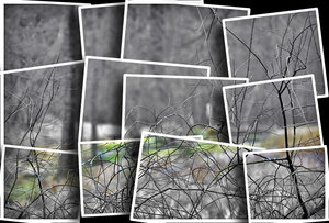 Shao-Yang2.jpg Shao-Yang2.jpg