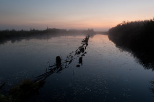 20111001-Nebel-VR2_5379.jpg