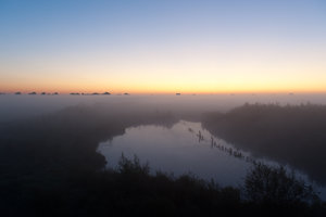 20111001-Nebel-VR2_5391.jpg