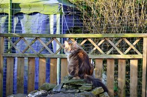 DSC_4791.JPG DSC_4791.JPG