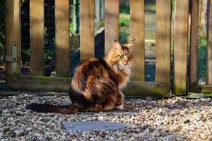 DSC_4796.JPG DSC_4796.JPG