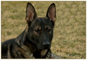 comp_Akecheta 10.jpg