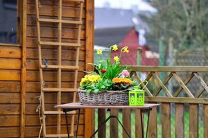 DSC_4884_01.JPG DSC_4884_01.JPG