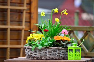 DSC_4885_01.JPG DSC_4885_01.JPG