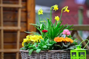 DSC_4886_01.JPG DSC_4886_01.JPG