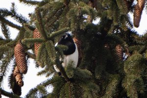 DAN_0984_2 (Custom).jpg DAN_0984_2 (Custom).jpg