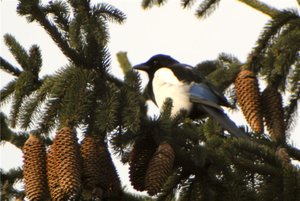 DAN_0988_1 (Custom).jpg DAN_0988_1 (Custom).jpg