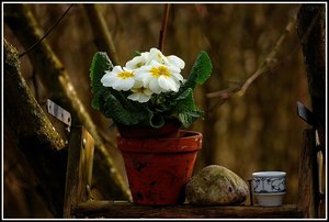 Aufräumarbeiten 500 kbAufräumarbeiten 5 weiss.jpg