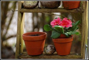 Aufräumarbeiten 500 kbAufräumarbeiten3.jpg