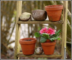 Aufräumarbeiten 500 kbAufräumungsarbeiten 6.jpg