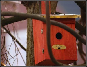 Aufräumarbeiten 500 kbAufräumarbeiten Nistkasten.jpg