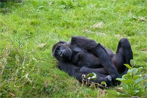 comp_IMG_1848.jpg comp_IMG_1848.jpg