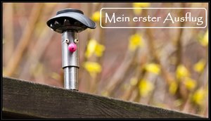 Der Schwein-7502.jpg Der Schwein-7502.jpg