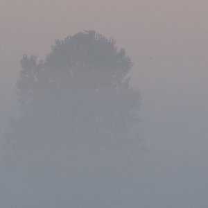 20111001-Sonnenaufgang-VR2_5474crop.jpg 20111001-Sonnenaufgang-VR2_5474crop.jpg