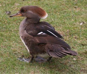 Bild 1.jpg Bild 1.jpg