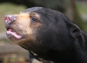 Bild 2.jpg Bild 2.jpg