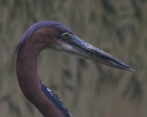 Bild 6.JPG Bild 6.JPG