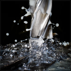 Fräser _ 1450 x 1450 _ 001.jpg