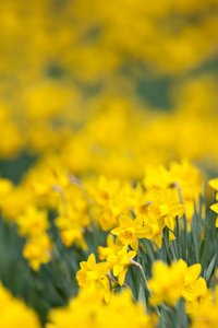 comp -12001_KU9362.jpg